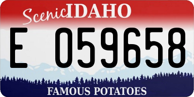 ID license plate E059658