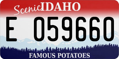 ID license plate E059660
