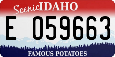 ID license plate E059663