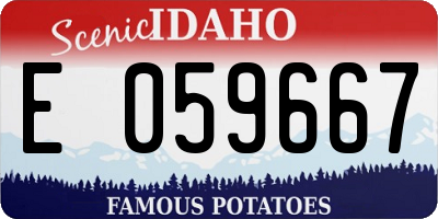 ID license plate E059667