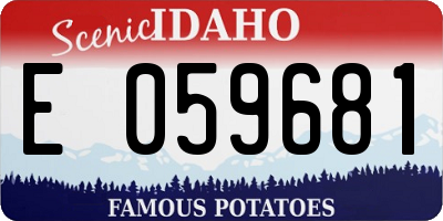 ID license plate E059681