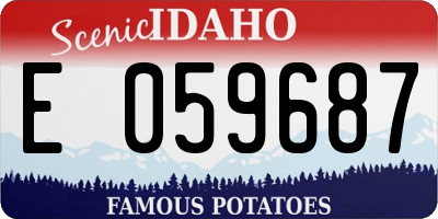 ID license plate E059687