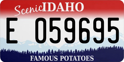 ID license plate E059695