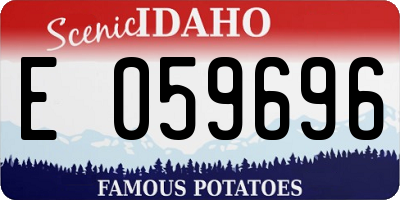 ID license plate E059696