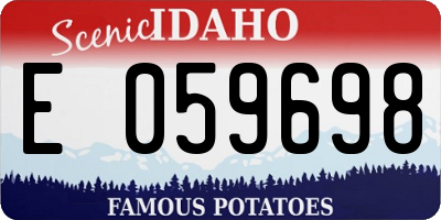 ID license plate E059698