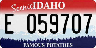 ID license plate E059707