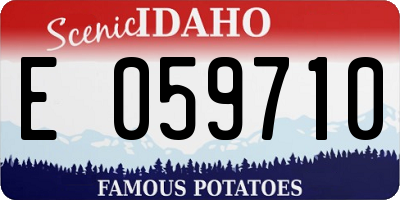 ID license plate E059710