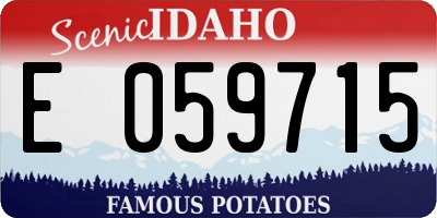ID license plate E059715