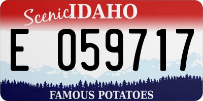 ID license plate E059717