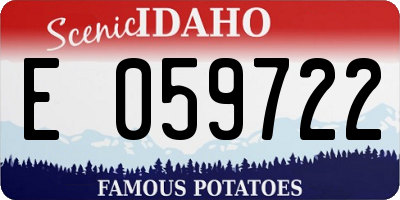 ID license plate E059722