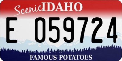 ID license plate E059724