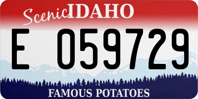 ID license plate E059729
