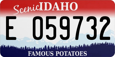 ID license plate E059732