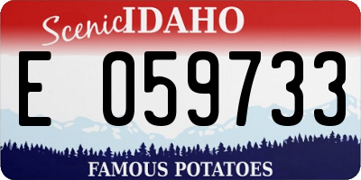 ID license plate E059733