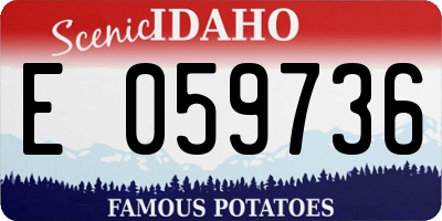 ID license plate E059736