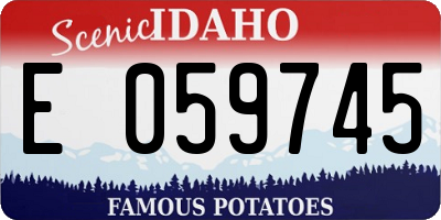 ID license plate E059745