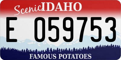 ID license plate E059753