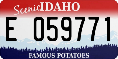 ID license plate E059771