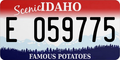 ID license plate E059775