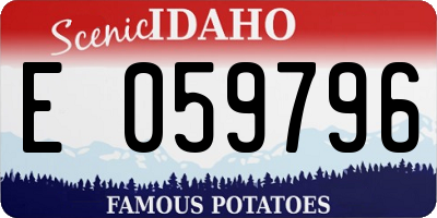ID license plate E059796