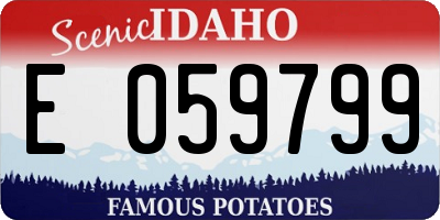 ID license plate E059799