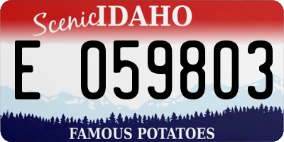 ID license plate E059803