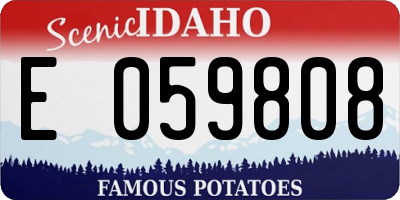 ID license plate E059808