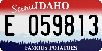 ID license plate E059813