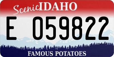 ID license plate E059822