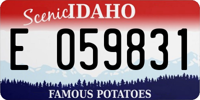 ID license plate E059831