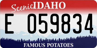 ID license plate E059834