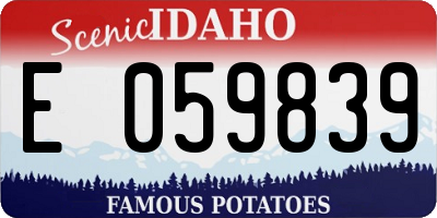 ID license plate E059839