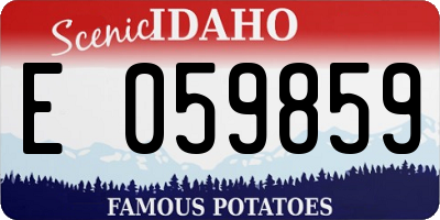 ID license plate E059859