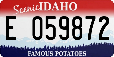 ID license plate E059872