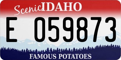 ID license plate E059873