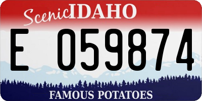 ID license plate E059874