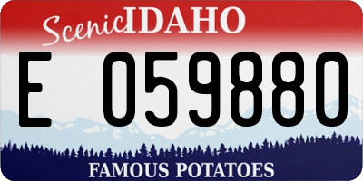 ID license plate E059880