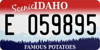 ID license plate E059895