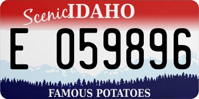 ID license plate E059896