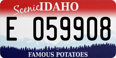 ID license plate E059908