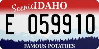 ID license plate E059910