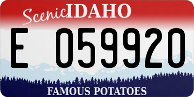 ID license plate E059920