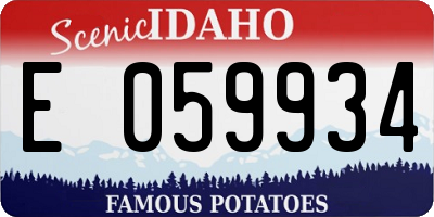 ID license plate E059934