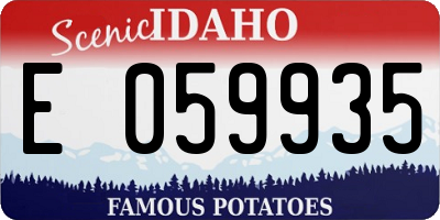 ID license plate E059935