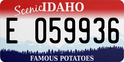 ID license plate E059936