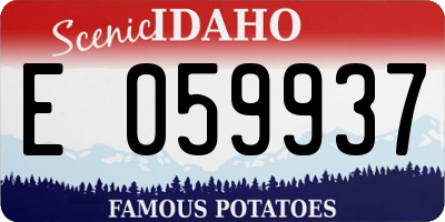 ID license plate E059937