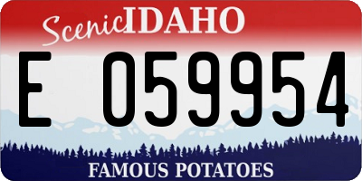 ID license plate E059954