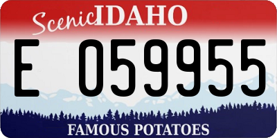 ID license plate E059955