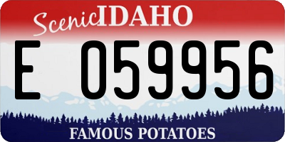 ID license plate E059956