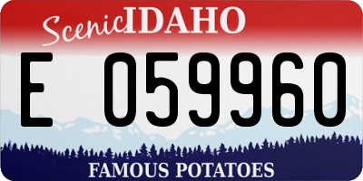 ID license plate E059960